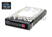 458930-B21 Жесткий диск HP 750GB 7.2K 3.5'' SATA 3Gb/s 458930-B21