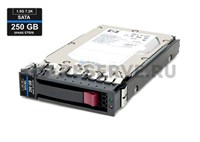 459318-001 Жесткий диск HP 250GB 7.2K 3.5'' SATA 3Gb/s 459318-001