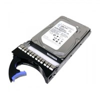 81Y9800 Жесткий диск LENOVO (IBM) 81Y9800 81Y9800