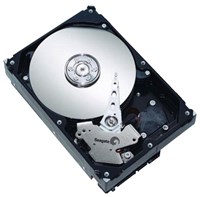 Жесткий диск Seagate ST3300820A 300Gb 7200 IDE 3.5" HDD ST3300820A